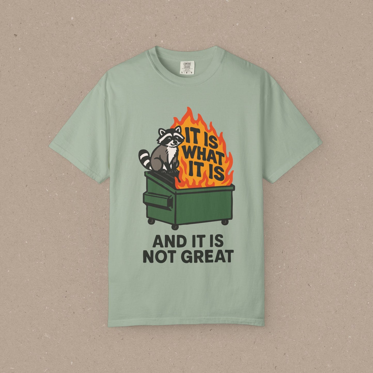It Is What It Is (And It Is Not Great) T-shirt