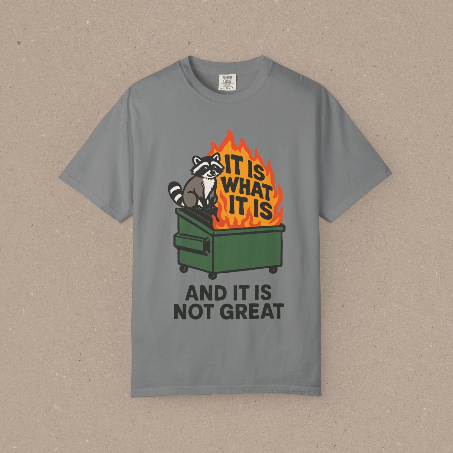 It Is What It Is (And It Is Not Great) T-shirt