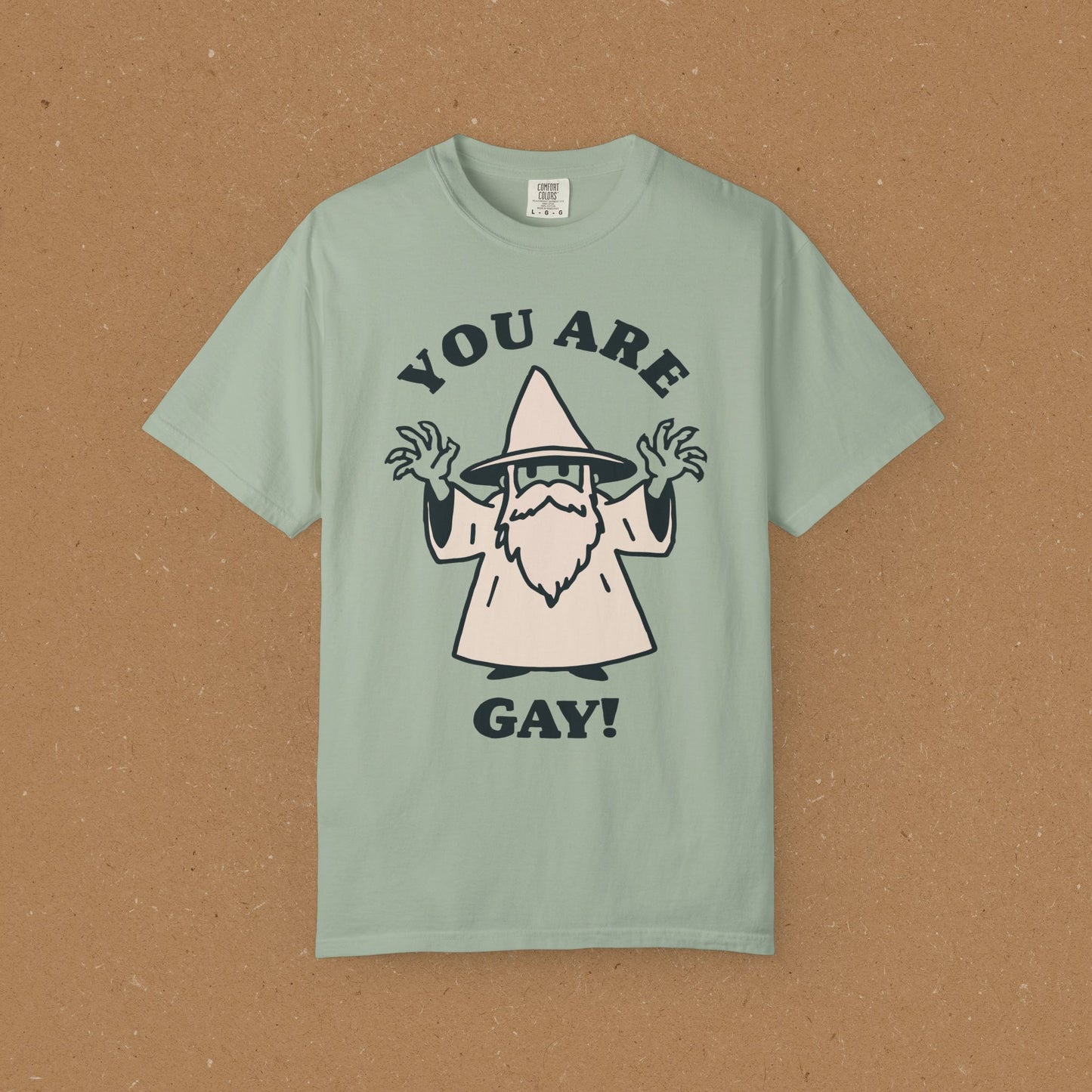 You Are Gay! T-Shirt