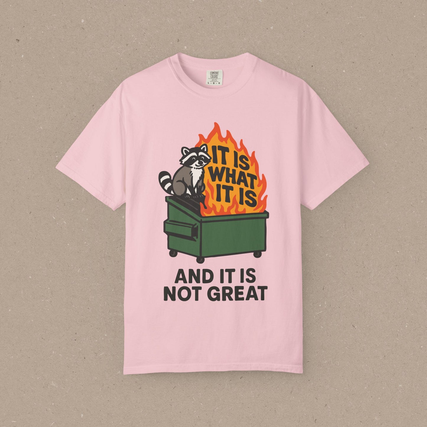 It Is What It Is (And It Is Not Great) T-shirt