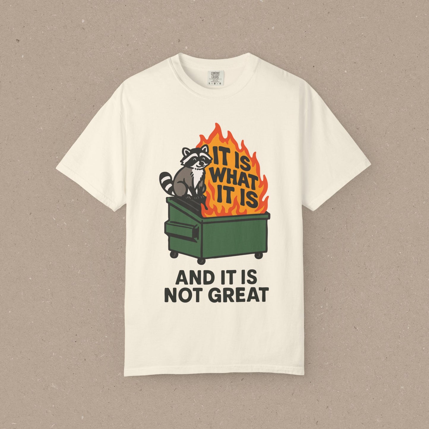 It Is What It Is (And It Is Not Great) T-shirt