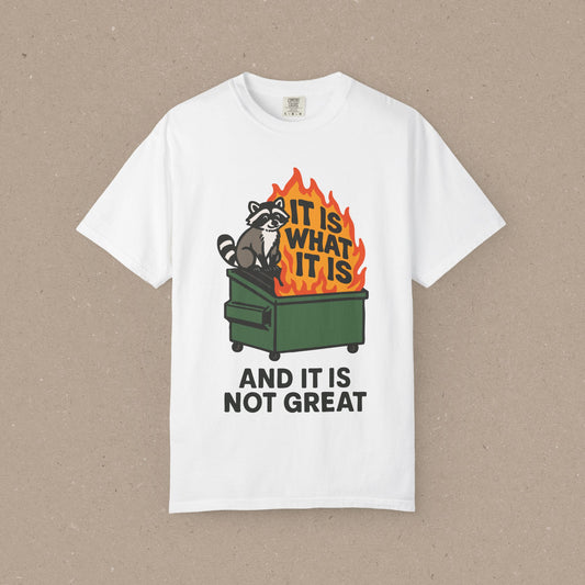 It Is What It Is (And It Is Not Great) T-shirt