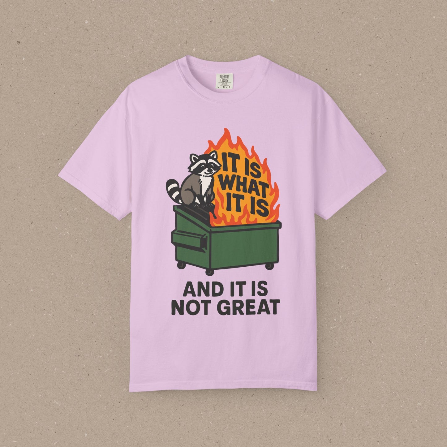 It Is What It Is (And It Is Not Great) T-shirt