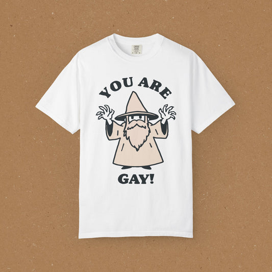You Are Gay! T-Shirt