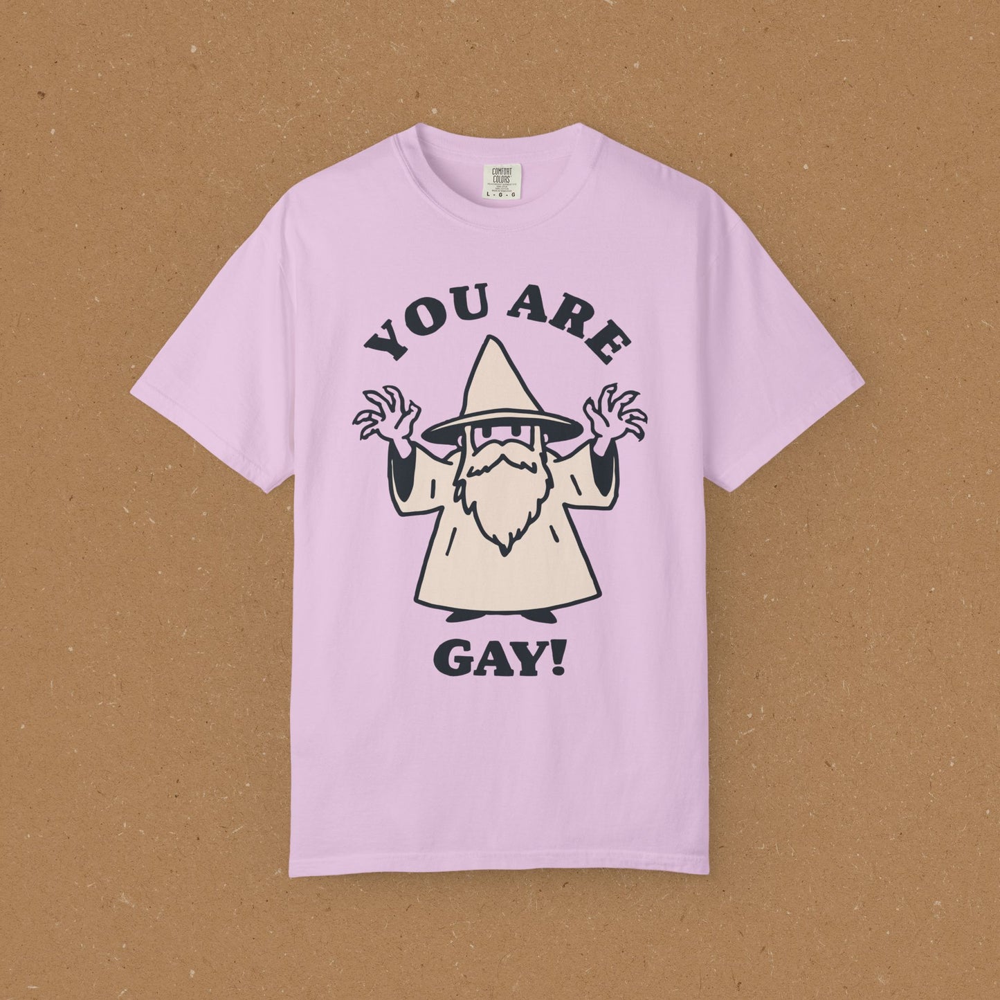 You Are Gay! T-Shirt